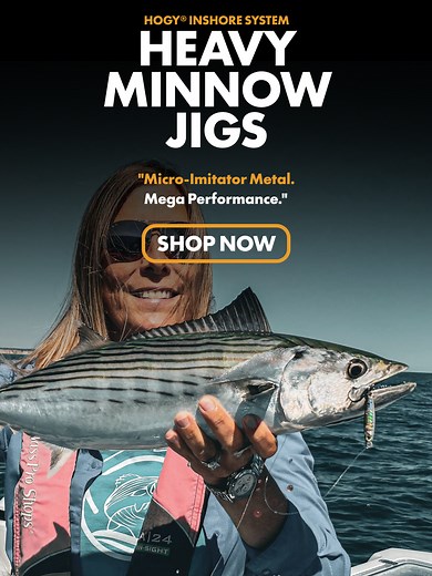 Heavy Minnow Jigs