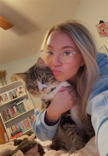 Follow for more Franklin content💙 #catsoftiktok #adopted #adoptdontshop