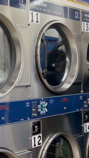 Drying in a Dexter T30x2 dryer