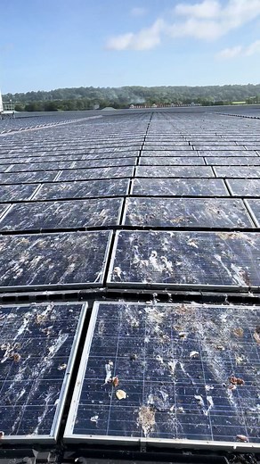 Exploring Renewable Energy: Why Solar Matters