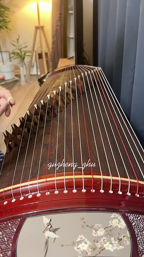 Traditional Chinese Guzheng Music Performance