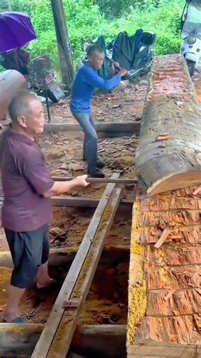 hewing a massive log manually using traditional axes to create flat timber surfaces for large