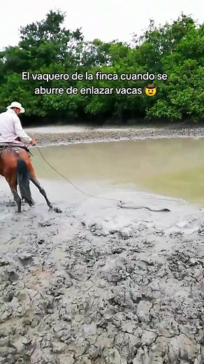 El vaquero de la finca cuando se aburre de enlazar vacas 🤠