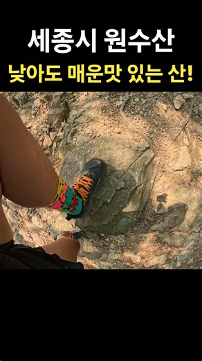 낮아도 매운맛 있는 원수산 ⛰️ 세종시 🙏