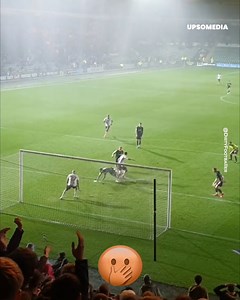 5M views · 5.5K reactions | They were extremely desperate to score. | The Cracks | Facebook