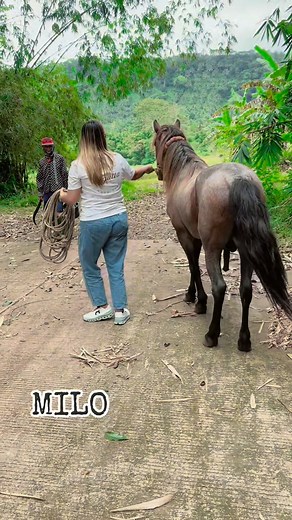 281K views · 12K reactions | Lablab sa bago uli 殺 #loveit #loveyou #fypシ゚ #foryoupageシ #fyp #highlight #virals #goodvibes #highlightseveryone #highlightsシ゚ #everyonefollowers Milo Deocampo #horseloverforlife | Kimberly Maravillas | Facebook