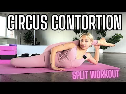 Splits Stretch Challenge | Daily Flexibility & Mobility Routine (4K)