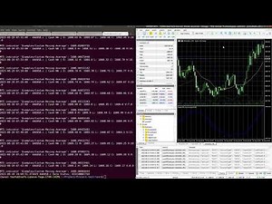 demo mt5 python api