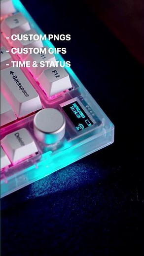 Why You Need This OLED Keyboard! Fantech MAXFIT81