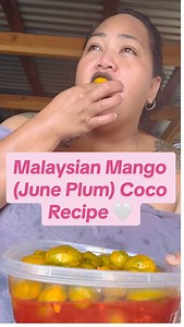 303K views · 10K reactions | Pickled June Plums  On Saipan, we call it Malaysian Mango. June Plums actually originated from Southeast Asia ❤️ Shouout to @pueshafa for helping me figure out the actual name and origin of the fruit 珞❤️ #nettycee #juneplums #pickledjuneplums #malaysianmango #coco #recipe #saipan #cnmi #marianas #themarianas #simplerecipe #easyrecipe #nettyceeeats | Netty Cee | Facebook