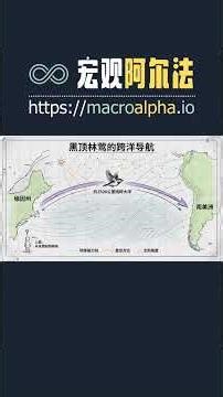 神经科学震撼真相 | 你从未看见过真实世界 | 感觉与知觉的奥秘