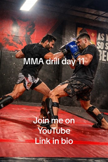 MMA Drill Day 11 – Learn to Fight Effectively