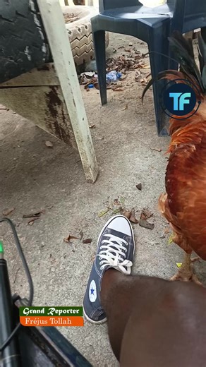 #LIVEIncentiveProgram #LIVEStory #PaidPartnership