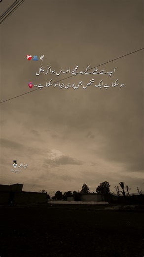 Discover the Aesthetic Behind AMW