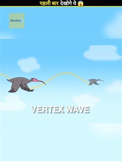 Why Do Birds Fly In V Shape 😱 #shorts