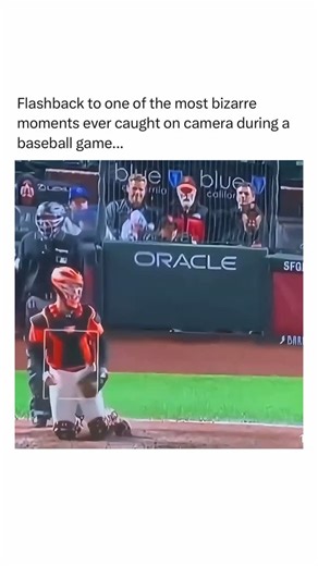 Today Years Old on Instagram: "Never gets old 😂 During an August 2016 game between the Toronto Blue Jays and Minnesota Twins, broadcast cameras captured a bizarre scene in the stands behind home plate. Two adult men were seen silently struggling over a large bag of blue cotton candy, with one spectator aggressively tearing chunks from the bag held by the man beside him. The intense imagery immediately confused viewers and went viral across social media. While initial reactions assumed this was 