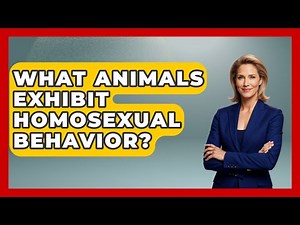 What Animals Exhibit Homosexual Behavior? - Gender Equality Network