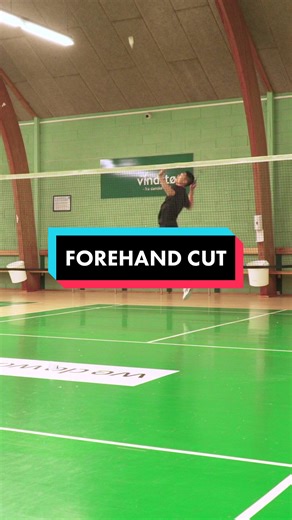 Is this the most underrated shot?🏸 #basicfeather