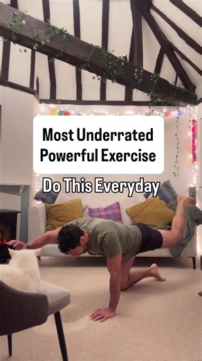 Save this exercise and comment RESET to start your fitness and mindset journey. The bird dog exercise improves core stability, balance, and coordination while strengthening the lower back, glutes, and shoulders.