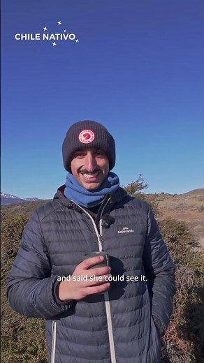 Puma Tracking Experience in Torres del Paine