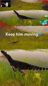 3.9 Ton Allosaurus Vs. Sub Rex | The Isle #theisle #jurassic #dinosaur #allosaurus #tyrannosaurusrex