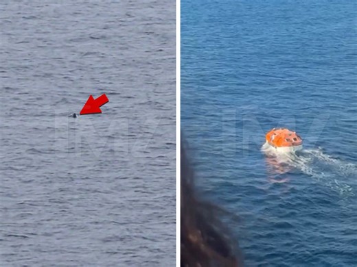 Carnival Cruise Passenger Goes Overboard Off Mexican Coastline, False Alarm