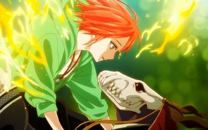 魔法使的新娘第一季 OP/ED Mahou Tsukai no Yome
