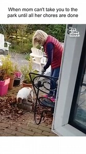 174K views · 2.1K reactions | I'm helping, mom!!! 藍粒 #Dogs #Cute #DogParents #DogMom | The Pet Collective | Facebook