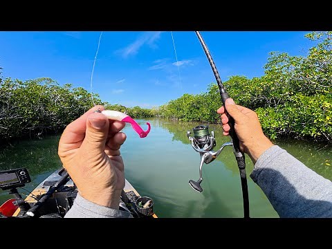 UNCUT Florida Keys Kayak Fishing | New Spots With Plenty Of Fish