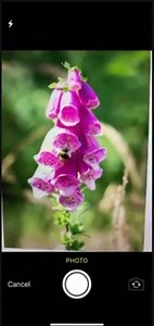 Impactful Computer Vision and DLP Solutions