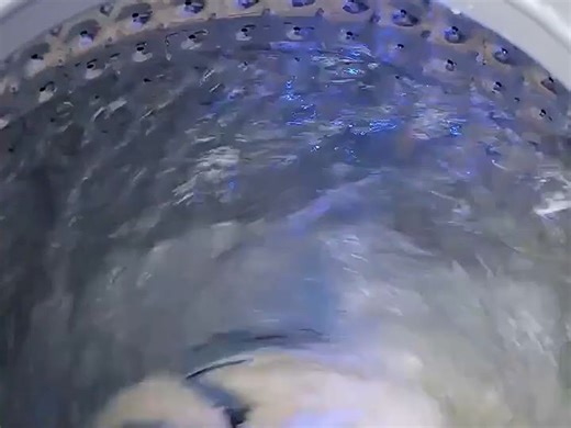 志高洗衣机，智慧生活新搭子，智能洗脱一体！推荐测评