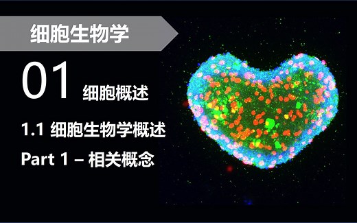 【细胞生物学】01.1 细胞生物学概述：相关概念