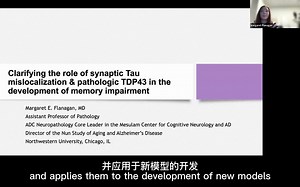 突触Tau定位错误和病理TDP43在记忆障碍发展中的作用