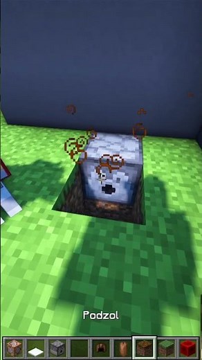 DOG POOP! 💩🤣 Minecraft Hacks! #shorts