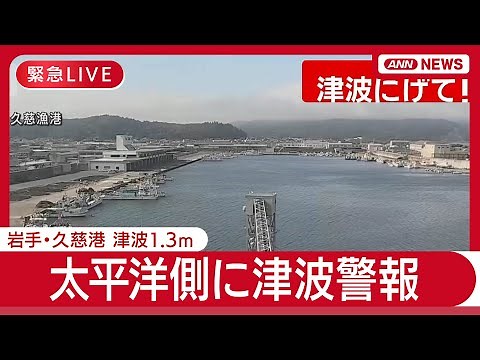 【緊急ライブ】太平洋沿岸に津波警報 命を守るため今すぐ逃げて！ カムチャツカ半島付近でM8.7の地震【LIVE】(2025年7月30日) ANN/テレ朝