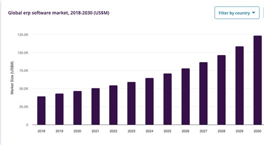 Ejemplos de ERP: Decisiones empresariales con casos reales