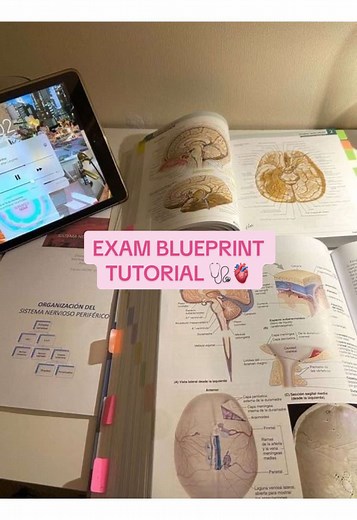 In-Depth Tutorial on Nursing Exam Blueprints