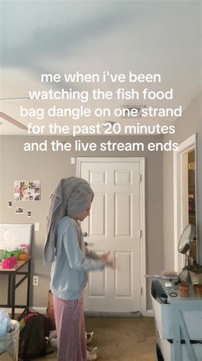 Watch Fish Food Dangle: A 20-Minute Live Stream