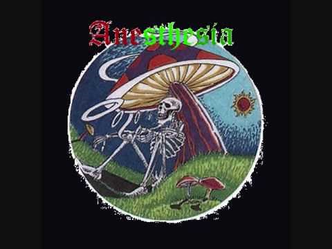 Anesthesia - Skanking The Night Away