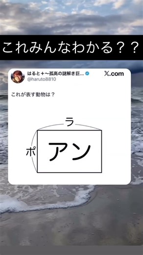 わかるるる#s#ショート #ショート #まとめ