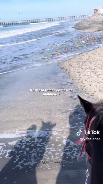 Tengo el corazón más roto de como imaginas - Charles Ans