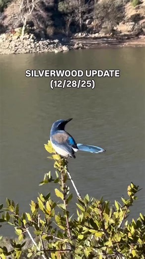 Silverwood Lake Update: Storms and Off-Road Trails