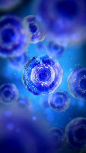 What is Bioenergetics?