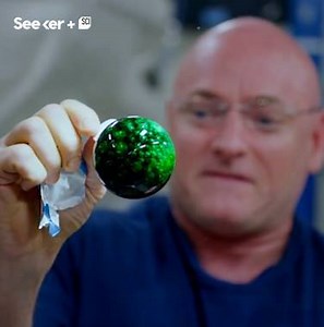 1.8M views · 2.4K reactions | Why are astronauts making bubbles in space? | Seeker by The Verge | Facebook