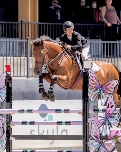 BIGEQ Horse Sales on Instagram: "See🎥x2 9yo by Conquest van de Helle × Beaulieu’s Quissini × Pilot. Successfully competed up to 1.25m with a junior rider and shows plenty of scope for more. Currently showing in the Low Adult division with a young amateur returning to the ring and earning top placings. “Coconut” is a careful, blooded, big-strided mare with a real desire to win. She is an excellent match for a rider seeking quality and potential to move into the higher levels, or for someone want