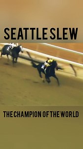 Seattle Slew 🐎 ❤️ The Champion of the world 🌎 #horseracinghistory #kentuckyderby1968 #RacingLegends | American horseracing Legends