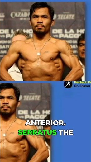 Do Your Shoulder Blades Stick Out? Here's Why