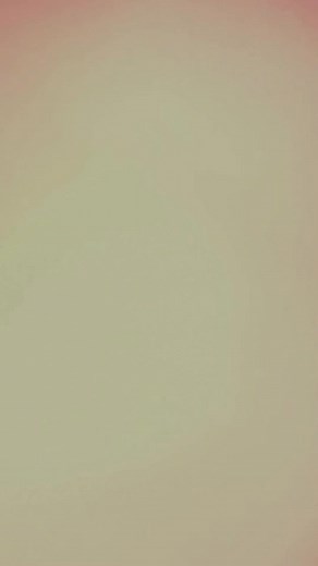 Exploring a Colorful Garden with Animated Foxes