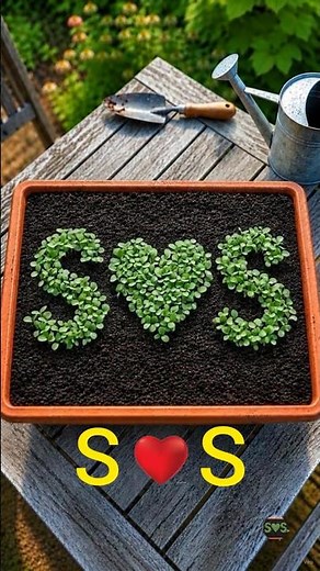🌱 S ♥ S Growing From Seeds 😍 | Satisfying Plant Growth