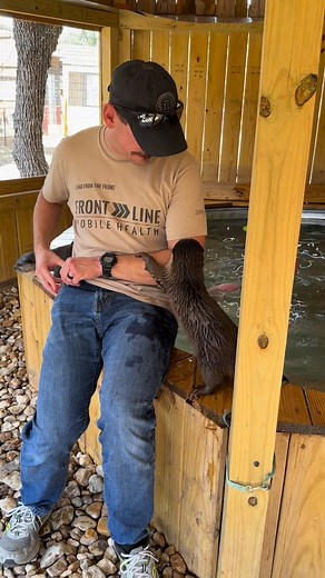 23K views · 693 reactions | The Otter encounter is one of the most...